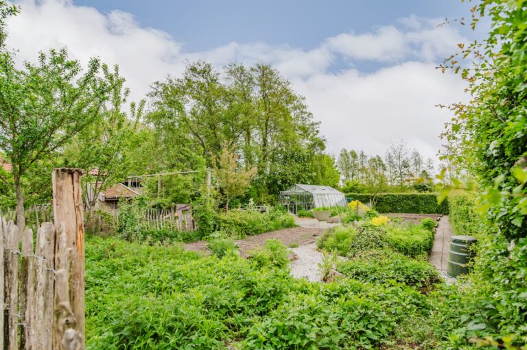 Tuin op het erf