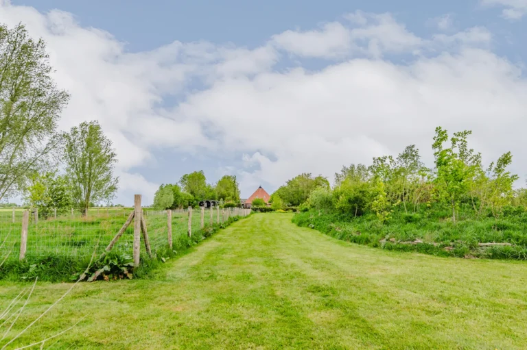 Landweg langs de weilanden bij De Ripen
