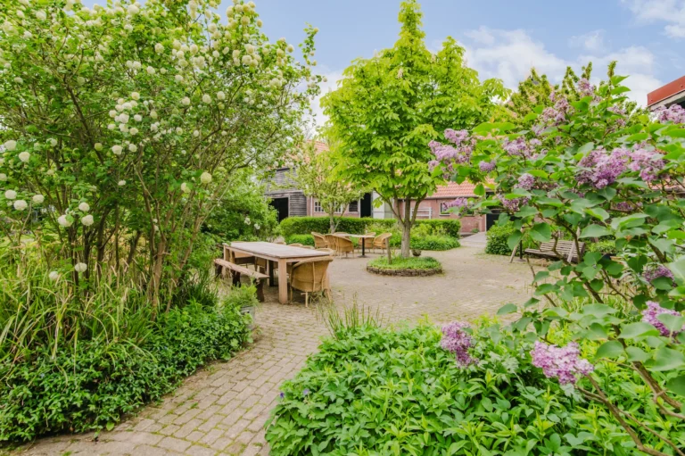 Tuin met terras en bloeiende struiken